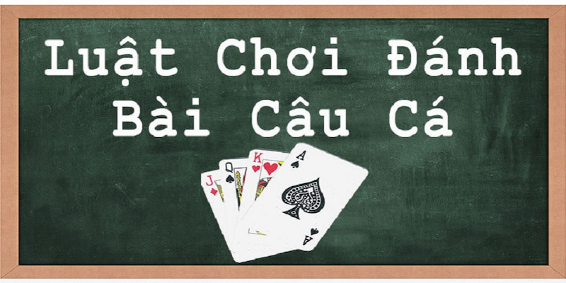 Bí quyết trở thành cao thử bài câu cá